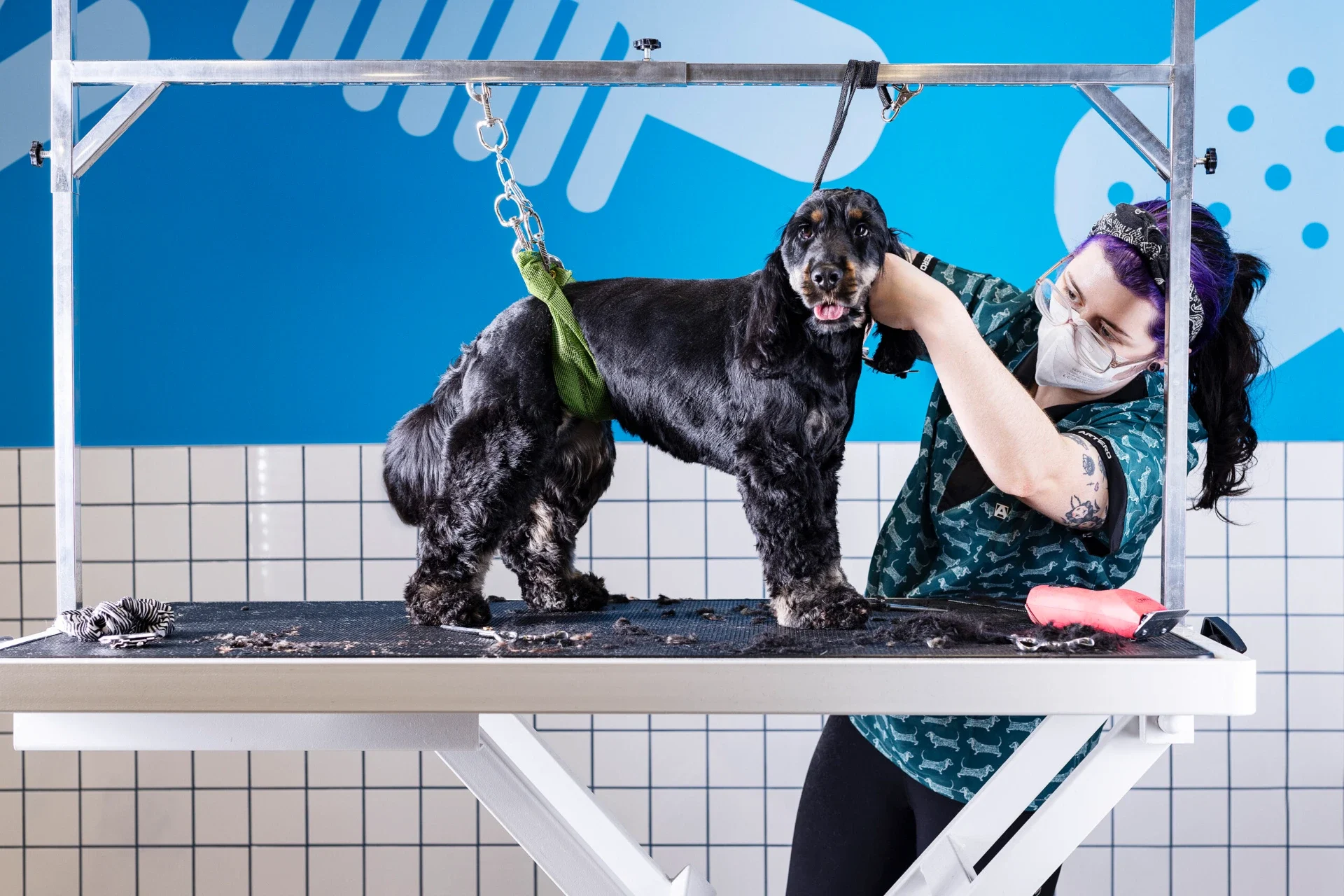 Petmania_Athlone_31A5510-scaled